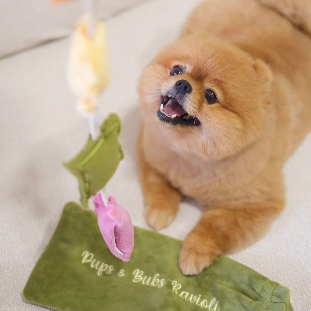Ravioli Nosework Dog Plush Toy