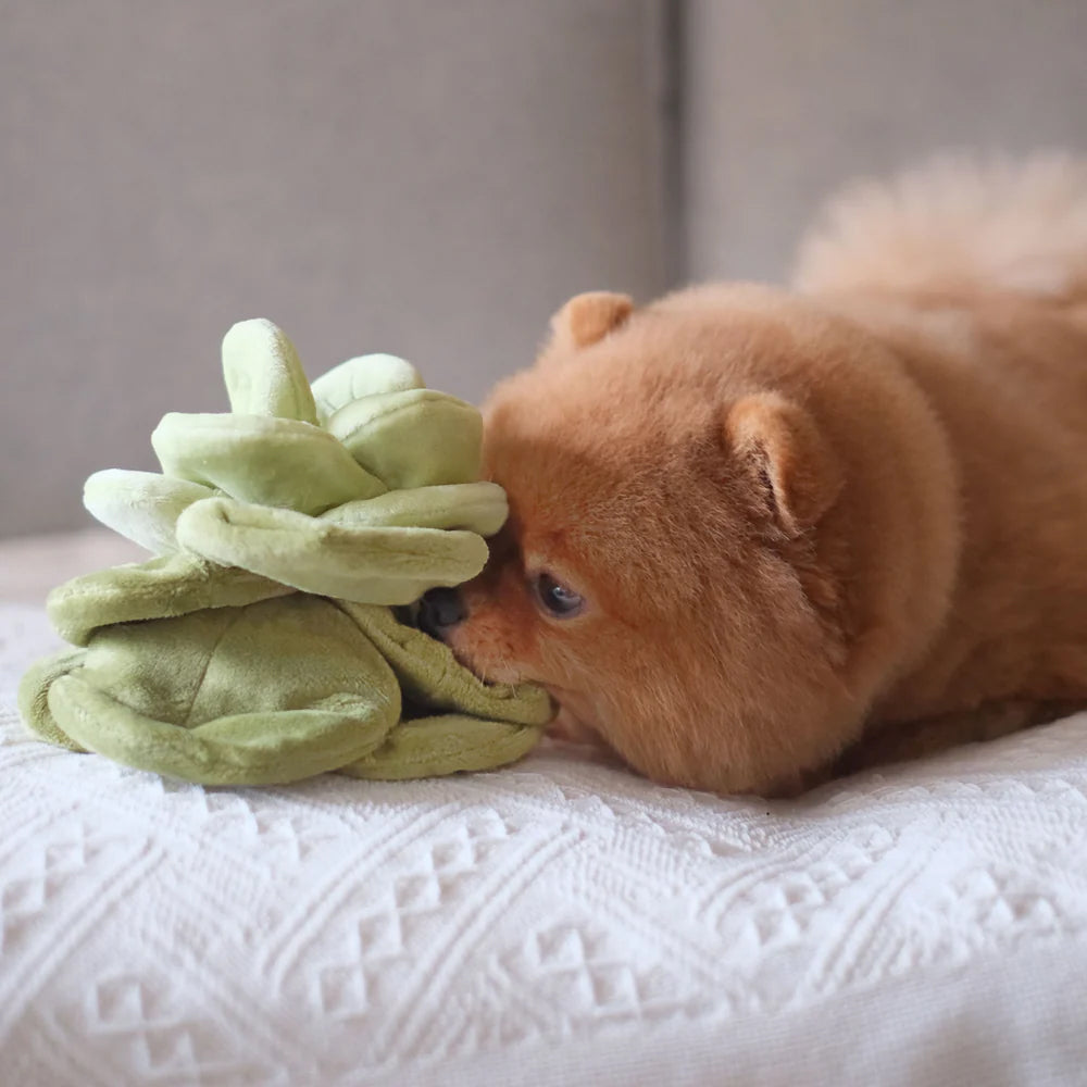 Snuffle Cabbage Nosework Dog Plush Toy