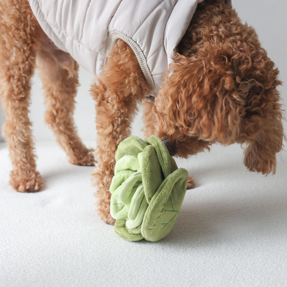 Snuffle Cabbage Nosework Dog Plush Toy