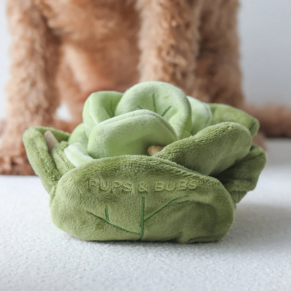 Snuffle Cabbage Nosework Dog Plush Toy