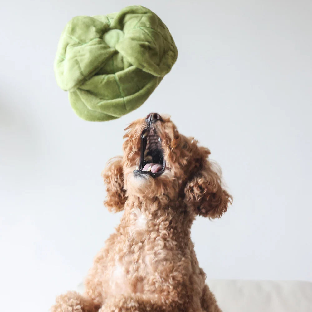 Snuffle Cabbage Nosework Dog Plush Toy