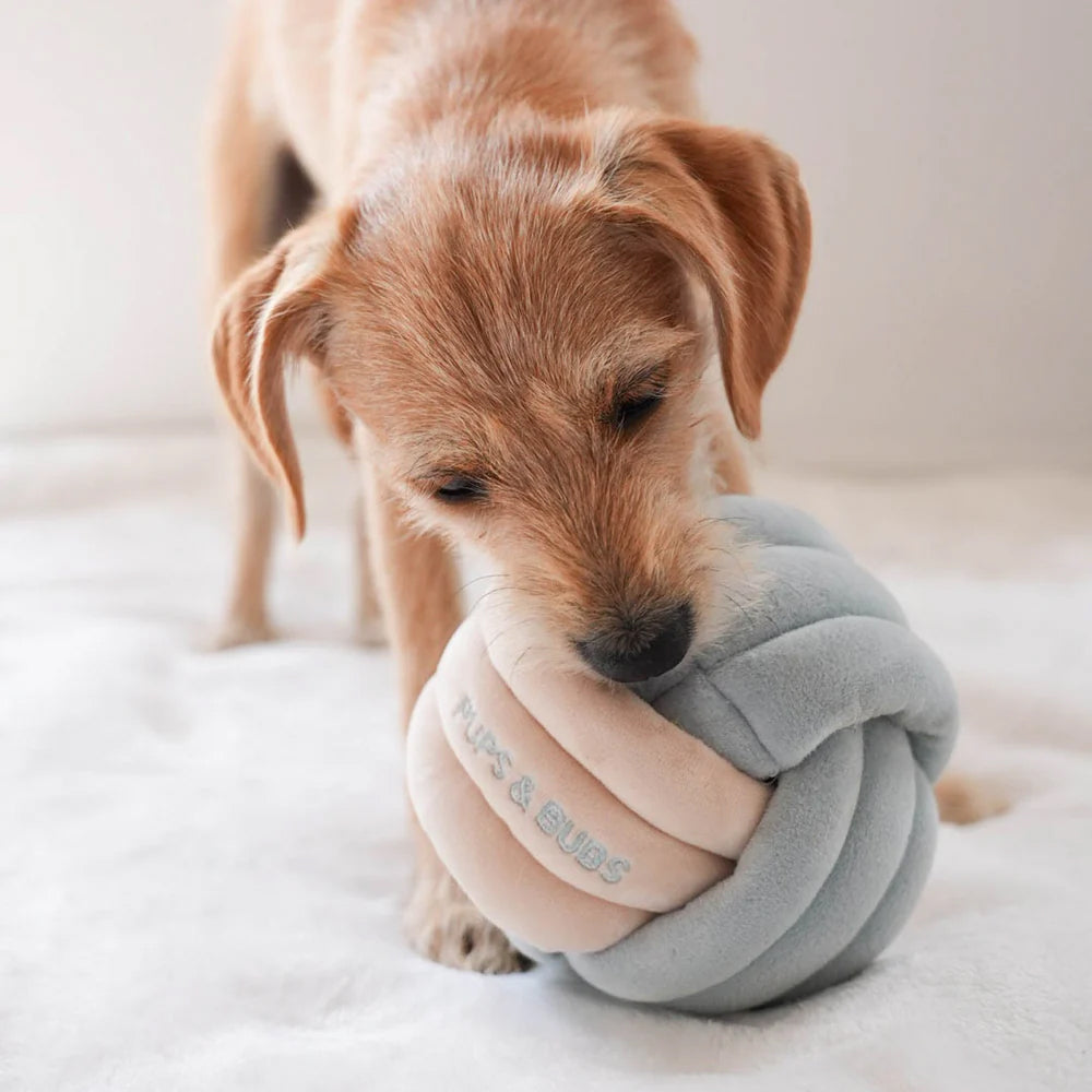 Snuffle Knot Nosework Dog Plush Toy