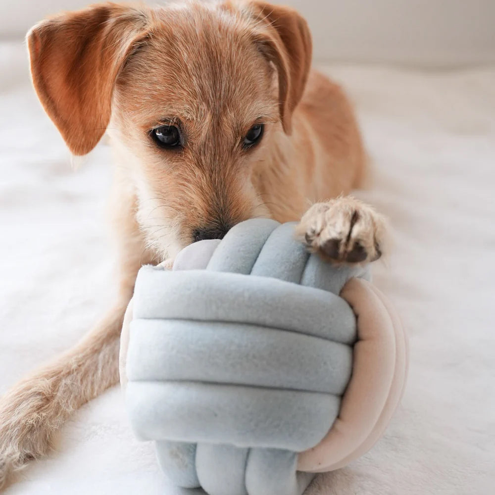 Snuffle Knot Nosework Dog Plush Toy