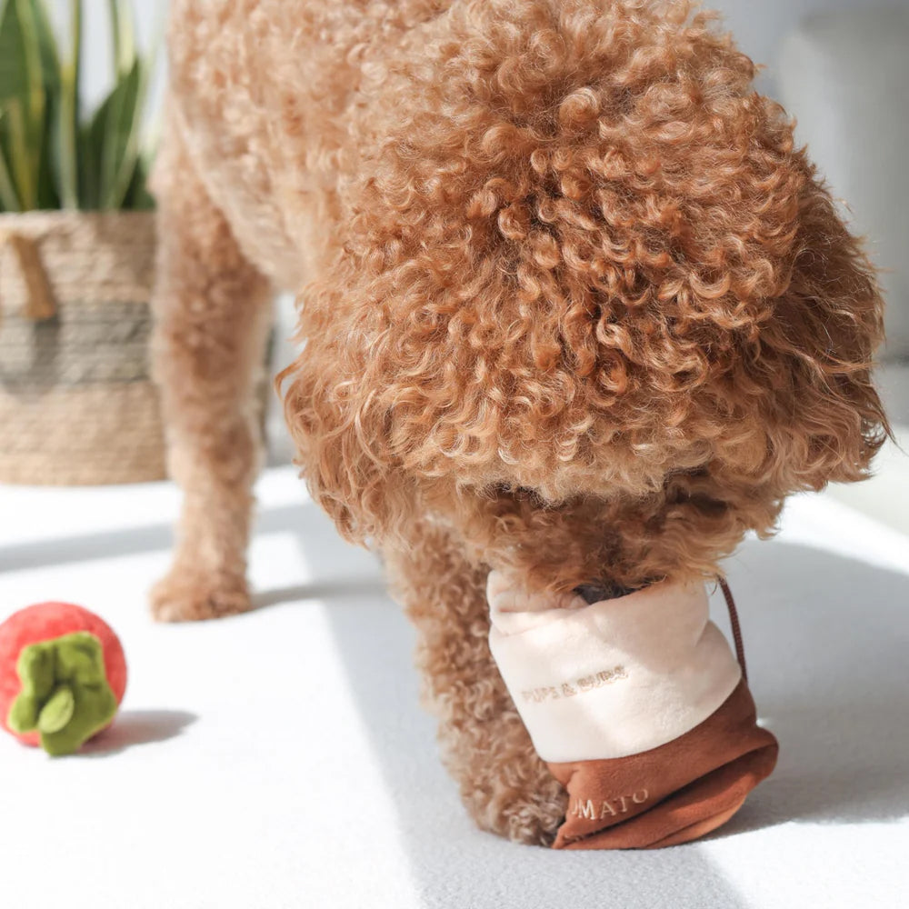 Tomato Soup Nosework Dog Plush Toy