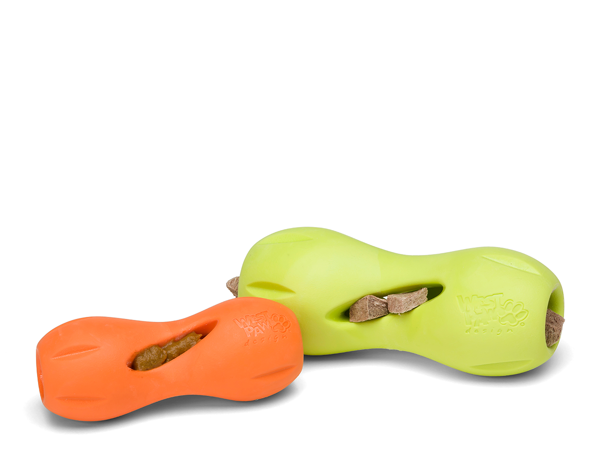 Qwizl Dog Treat Toy