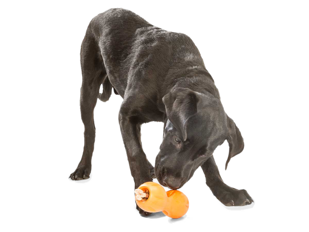 Qwizl Dog Treat Toy