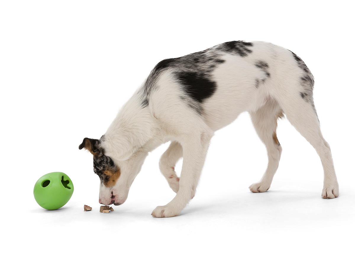 Rumbl Dog Treat Toy