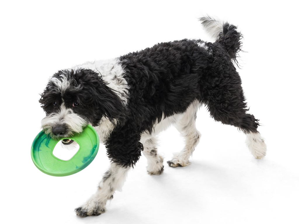 Saliz Seaflex Flying Disc Dog Toy