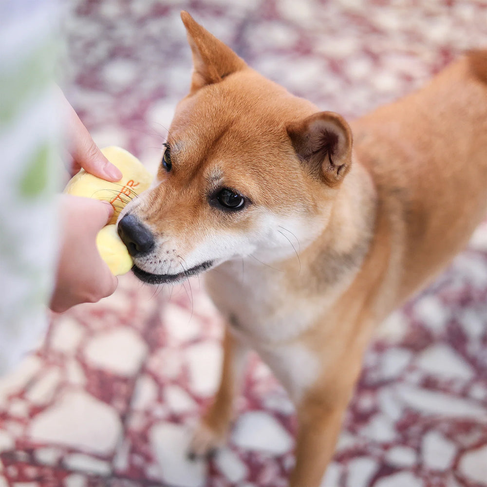 Woof² - Buttered Pineapple Bun 2-in-1 Plush Toy