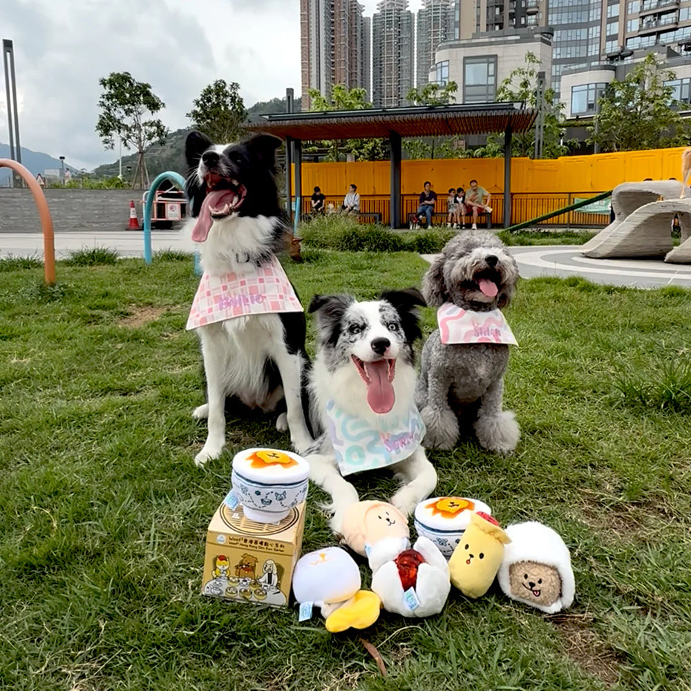 Hong Kong Dim Sum Series Pet Toy Blind Box