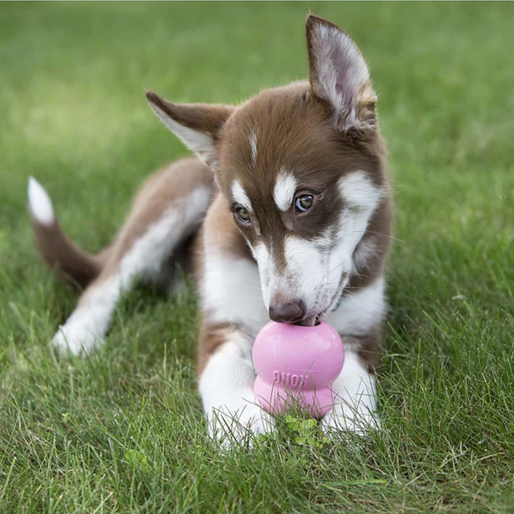 KONG Classic Puppy