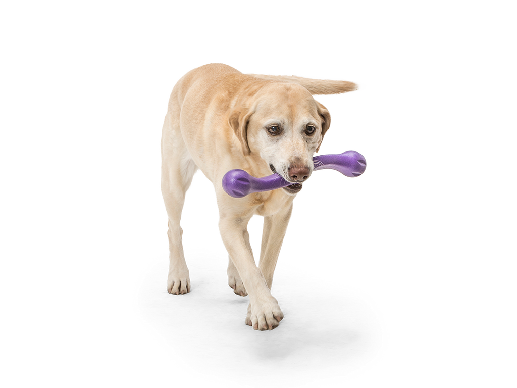 Zwig Dog Tug Toy