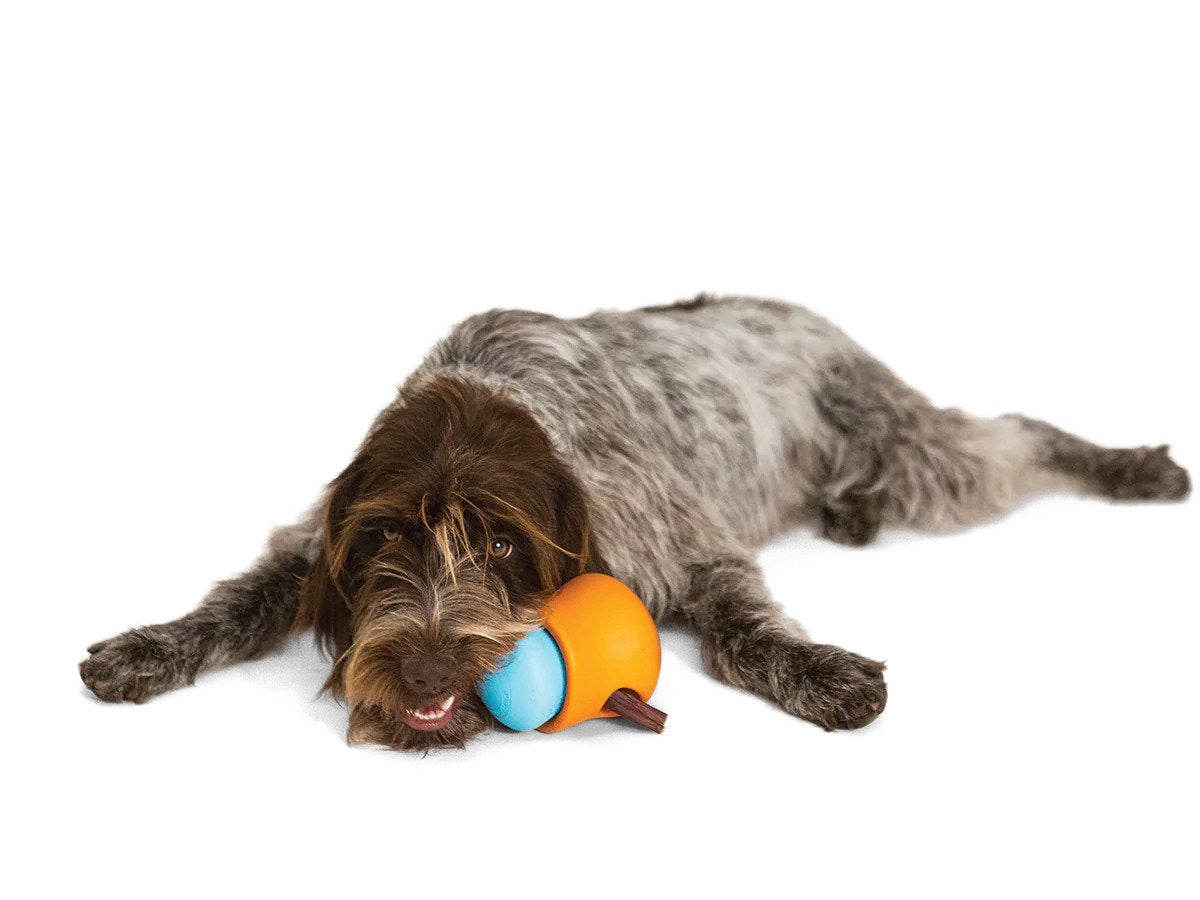 Toppl Dog Treat Toy