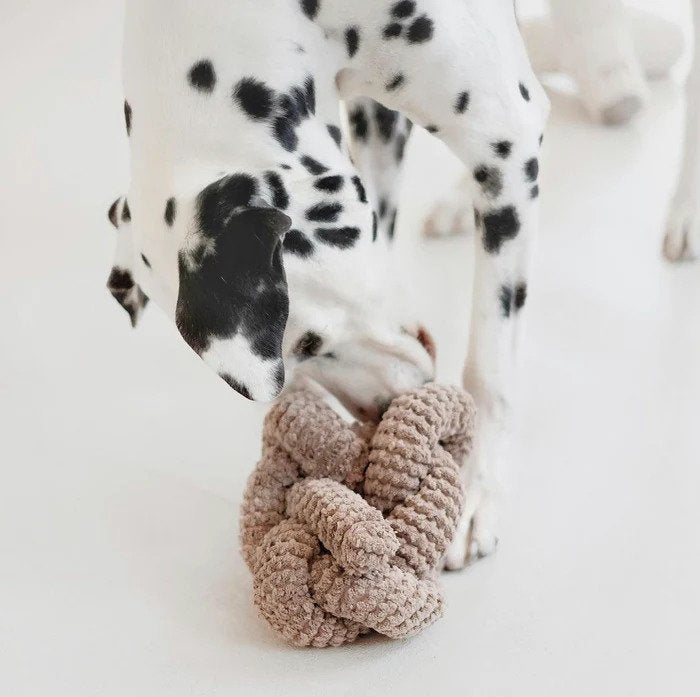 Nou Spueaker Dog Toy