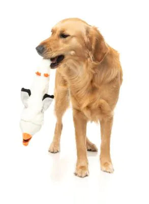 FuzzYard See-ya Seagull - Dog Toy