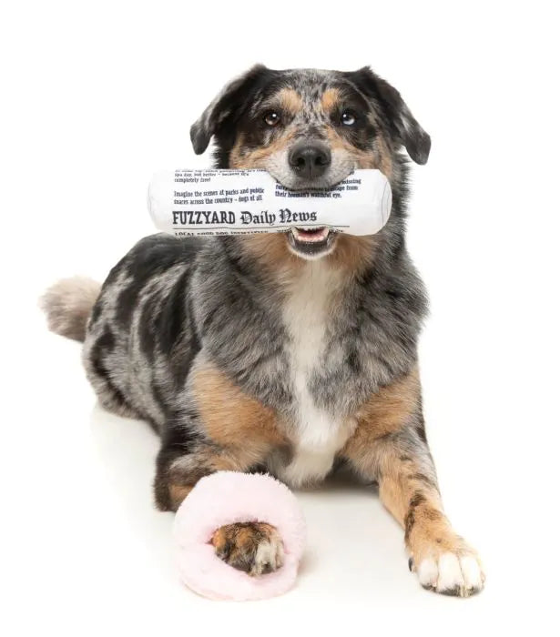 FuzzYard Fetch My Slippers & Paper 2pk - Dog Toy