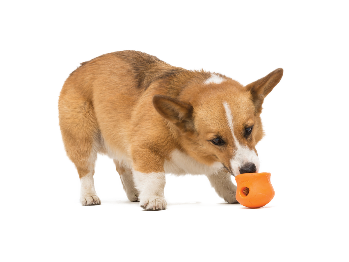 Toppl Dog Treat Toy
